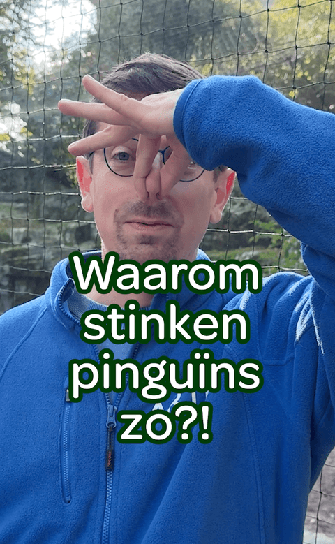 Artis Pinguins stink