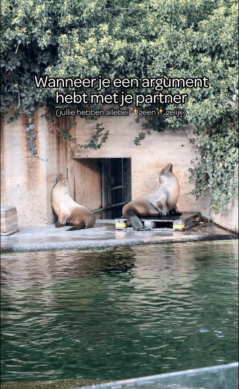 Artis inhaker partner argument